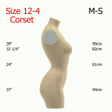 Sewing Pattern for Corset Dress Form Torso Set Size 12-4 Sewing Pattern for Corset Dress Form Torso Set Size 12-4