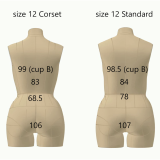 Sewing Pattern for Corset Dress Form Torso Set Size 12