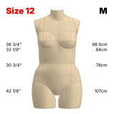 Sewing Pattern for Standard Dress Form Torso Set Size 12