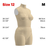 Sewing Pattern for Standard Dress Form Torso Set Size 12