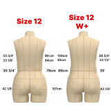 Sewing Pattern for  Dress Form Torso Set Size 12 Waist+