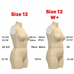 Торс манекену розміру 12 зі збільшеною талією . Викрійки у форматі PDF Торс манекену розміру 12 зі збільшеною талією . Викрійки у форматі PDF