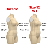 Sewing Pattern for  Dress Form Torso Set Size 12 Waist+