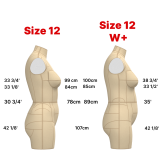 Sewing Pattern for  Dress Form Torso Set Size 12 Waist+