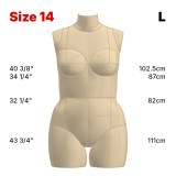 Sewing Pattern for Standard Dress Form Torso Set Size 14 Sewing Pattern for Standard Dress Form Torso Set Size 14