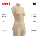 Sewing Pattern for Standard Dress Form Torso Set Size 8